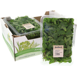 MENTHE GROSBUSCH 4X200G